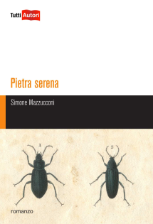 Pietra serena